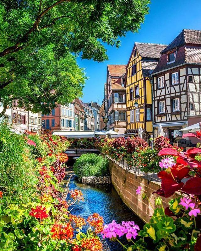 Chez Alice Apartment Colmar Exterior photo